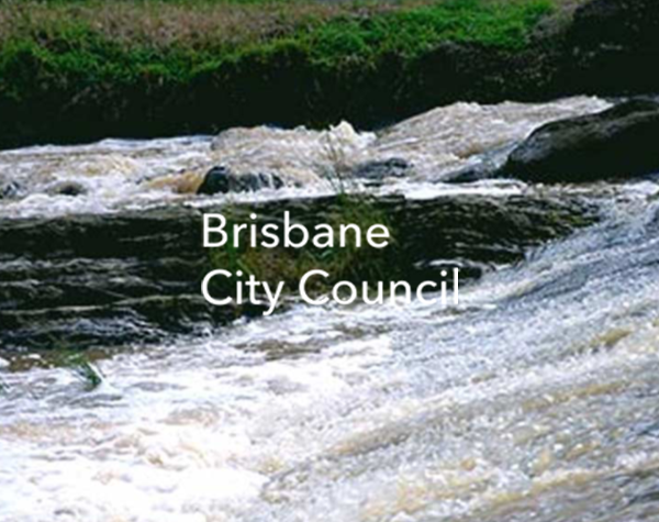Brisbane City Council Turned to the Real-Time Power of Social Media During a Crisis
