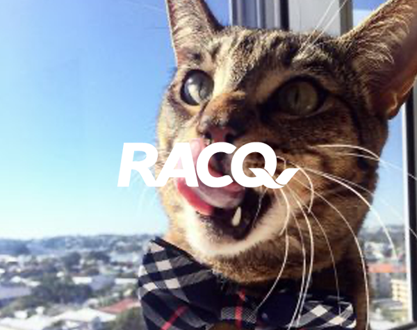 RACQ’s Pet Competition Generates UGC and Quality Leads
