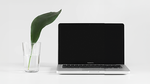Building relationships with online customers, sustainably thumnbail