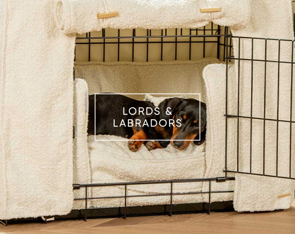 How Lords & Labradors increased AOV by 37% with Nosto’s onsite Content Personalization and Klarna