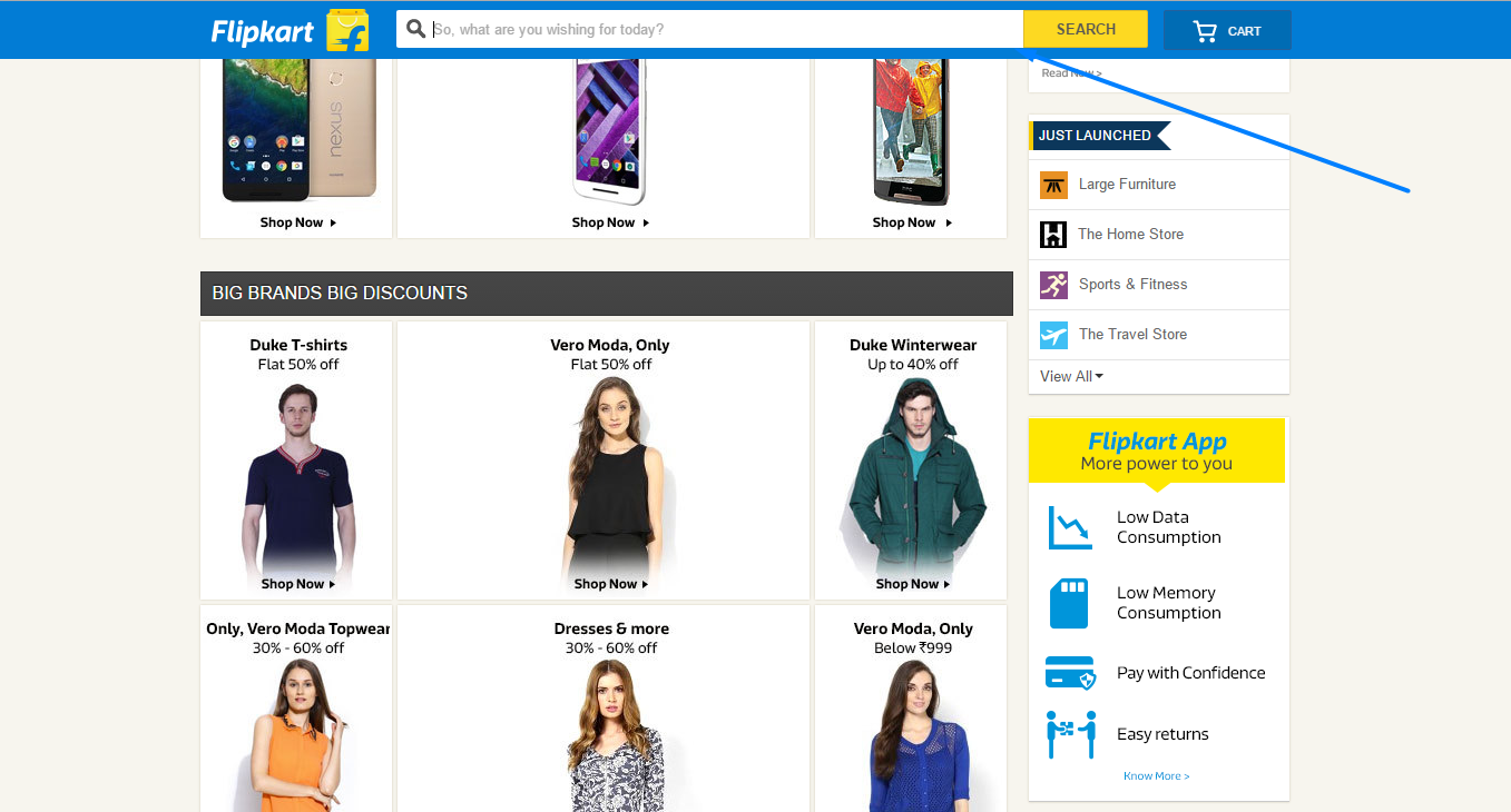 large-and-ever-present-search-box-flipkart-searchnode