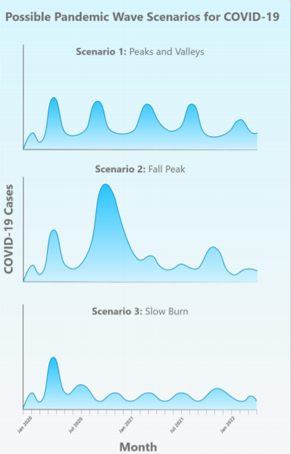 Possible COVID-19 Scenarios