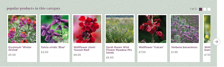 Sarah Raven Best Seller product recommendations category page